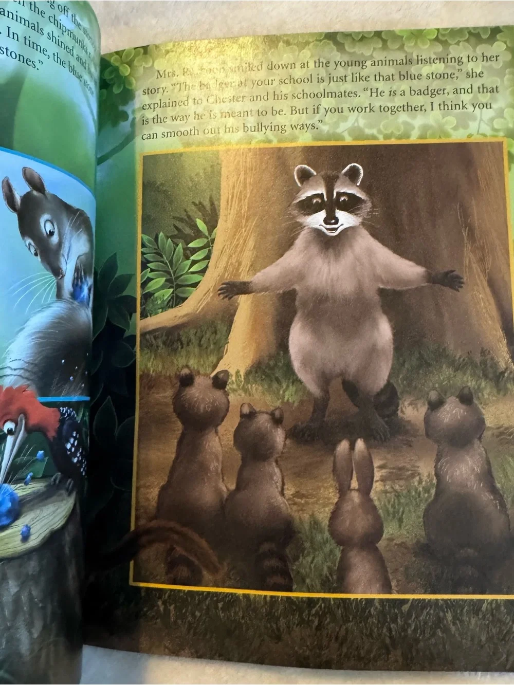 2009 Chester Raccoon and the Big Bad Bully Kid’s Paperback Book